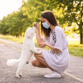 Wide shot of public park where young woman is rewarding her happy white dog while using a protective face mask to avoid respiratory virus contagion.